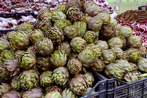 Hög Med Stora Greener Artikhoker Lådorna För Försäljning Grönsakshandlaren Stall — Stockfoto