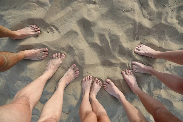 ten barefoot of a family of five on the sand of the beach during the summer holidays