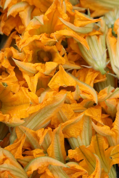 Molti Fiori Zucca Arancione Vendita Mercato — Foto Stock