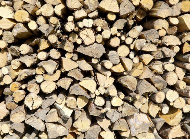Odunlukta yakmak için kesilmiş odun parçaları.