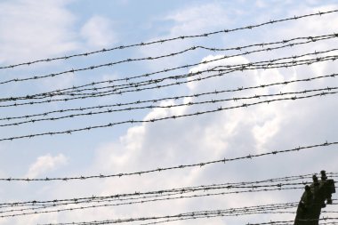 Toplama kampının sınırlarıyla elektrik verilmiş düzeltilmiş dikenli bir tel.