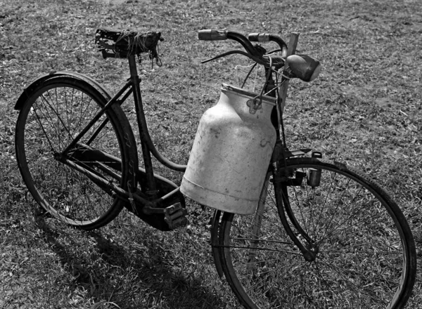 Доярка Велосипеде Алюминиевый Контейнер Перегонки Дойного Молока Эффектом Черного Белого — стоковое фото