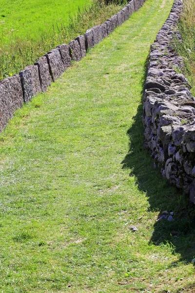 Muilezelspoor Met Gras Dat Leidt Naar Oneindigheid Heuvel — Stockfoto