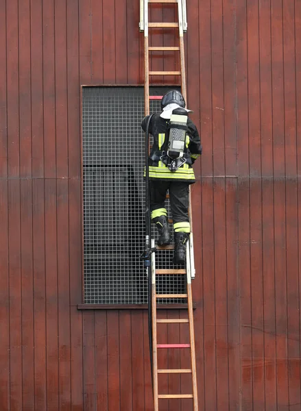 Firefighter Climbs Ladder Oxygen Cylinder Rescue Exercise Smoke Intoxication — Stock Photo, Image