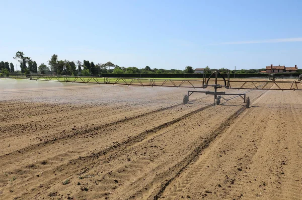 Industrial Automatic Irrigation System Wide Cultivated Field Green Lettuce Summer — Stock Photo, Image