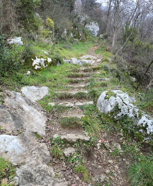 人のいない春に大規模な岩が植生で失われた山道 — ストック写真