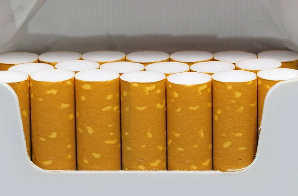 detail of the filters of many cigarettes inside a packet just opened by the avid smoker