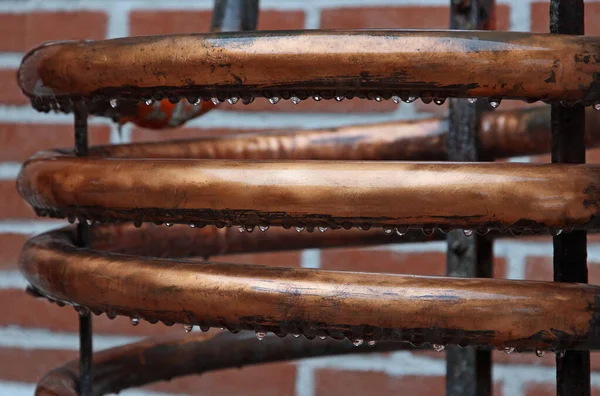 酿酒厂蒸馏烈酒用的长湿铜线圈 — 图库照片