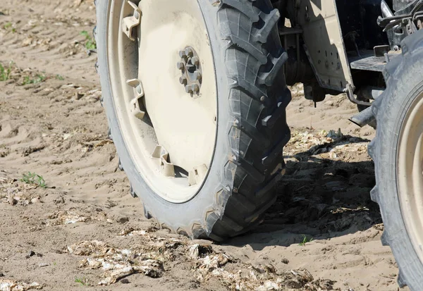 Roda Traktor Besar Sawah Setelah Panen Sayuran — Stok Foto