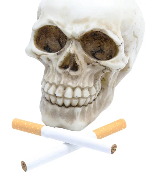 Crânio Humano Dois Cigarros Fundo Branco Símbolo Morte — Fotografia de Stock