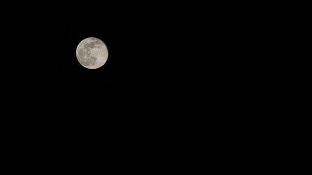 Luna Piena Luminosa Romantica Nel Cielo Notturno Nero — Video Stock