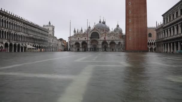 ヴェネツィアの素晴らしい聖マルコ広場イタリアの水と満潮で非常に少数の人々がどこでも — ストック動画