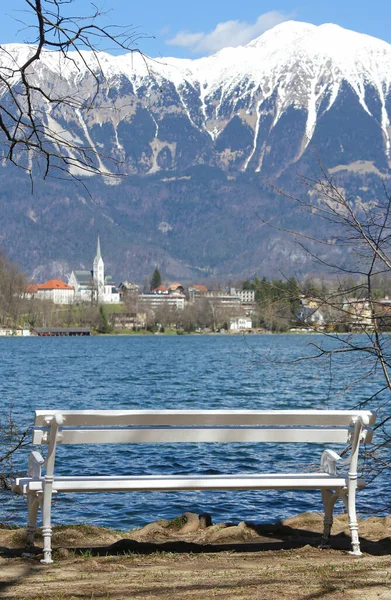 Lago Sangrou Slovenia Europa Com Montanhas Nevadas Banco Branco — Fotografia de Stock
