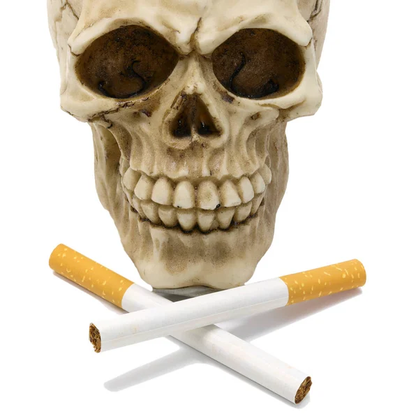 Mänsklig Skalle Symboliserar Död Och Två Korsade Cigaretter Vit Bakgrund — Stockfoto