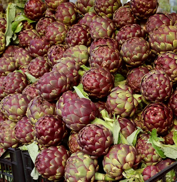 Big Artichokes Sale European Market Winter — Stock Photo, Image