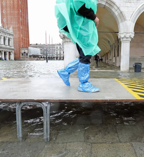 hasty tourist walks fast on the elevated walkway during high tide in Venice in Italy