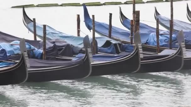 Αγκυροβόληση Γόνδολας Στη Μικρή Επιβίβαση Στη Λιμνοθάλασσα Της Βενετίας Κοντά — Αρχείο Βίντεο