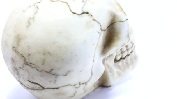 Reproduction Human Skull While Smiling Spinning Itself — Stock Video