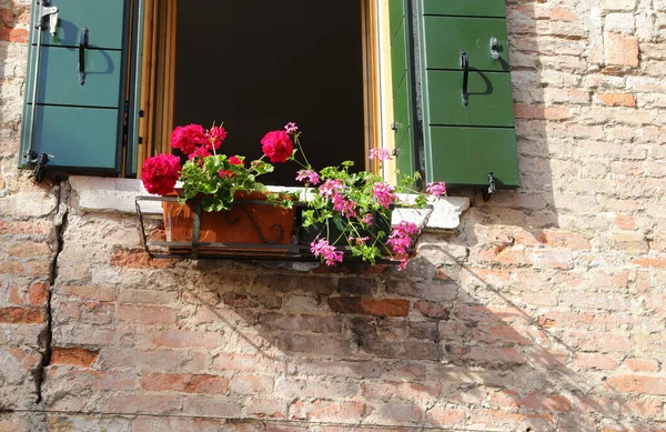 Varanda Com Vasos Flores Gerânios Florescendo Primavera Parede Tijolos Casa — Fotografia de Stock