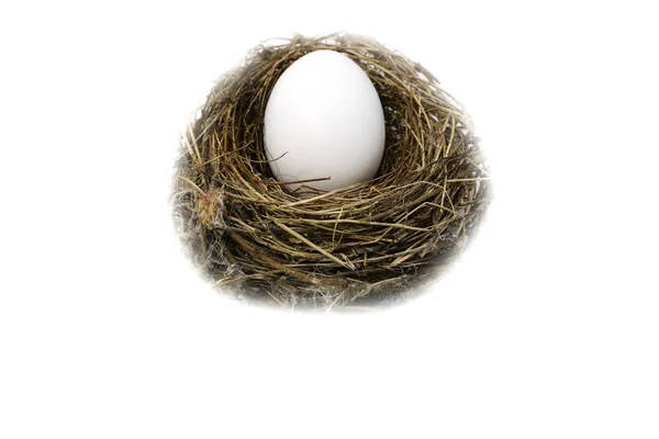 Vogel Nest Gemaakt Met Kleine Twijgjes Gevlochten Stro Een Klein — Stockfoto