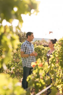Güneşli bir günde bir bardak şarap üzüm bağları içinde tadını çıkarırken bir kadınla konuşmak çekici bir adam