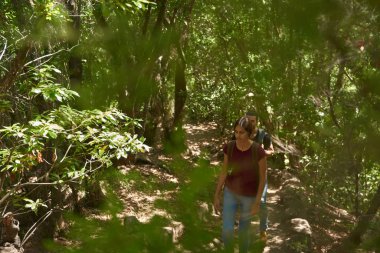 Genç, çekici bayan ağaçların arasında yürüyor.