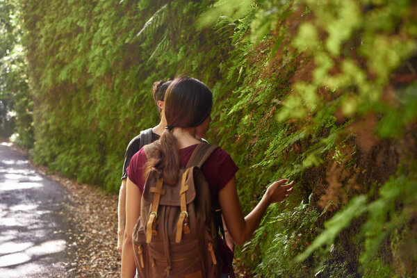 Young couple examine a green leafy wall of leaves