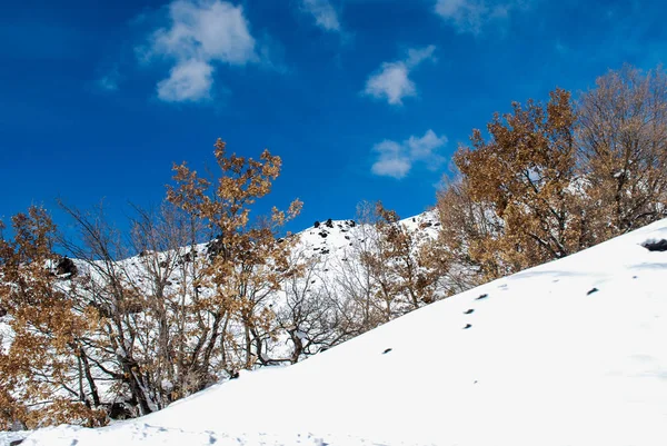 Etna karla kaplı Sicilya'da