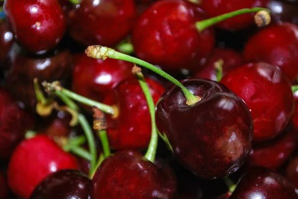 Etna 'nın kırmızı kiraz 