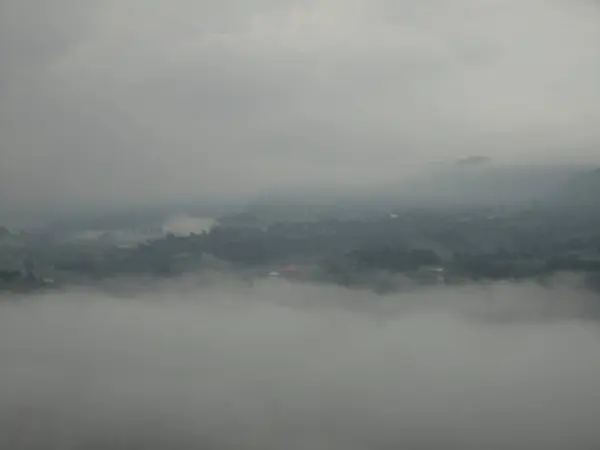 Ochtend mist in zonnige weide. Beboste berghelling in laag liggende wolk. — Stockfoto