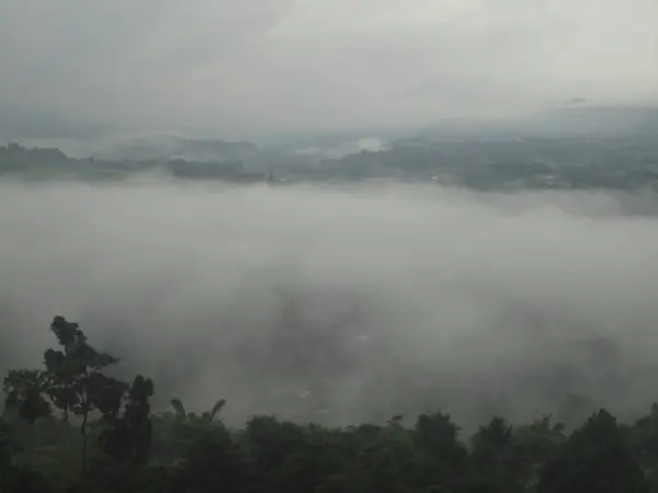 Ochtend mist in zonnige weide. Beboste berghelling in laag liggende wolk. — Stockfoto
