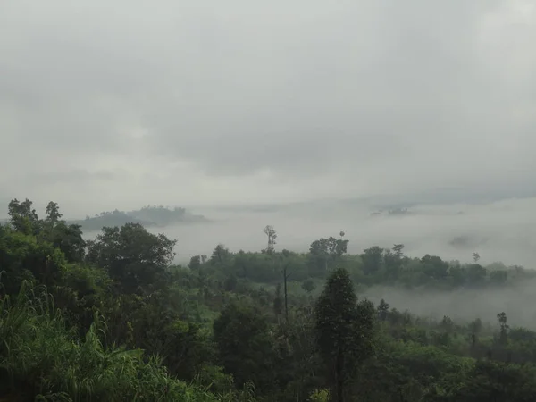 Ochtend mist in zonnige weide. Beboste berghelling in laag liggende wolk. — Stockfoto