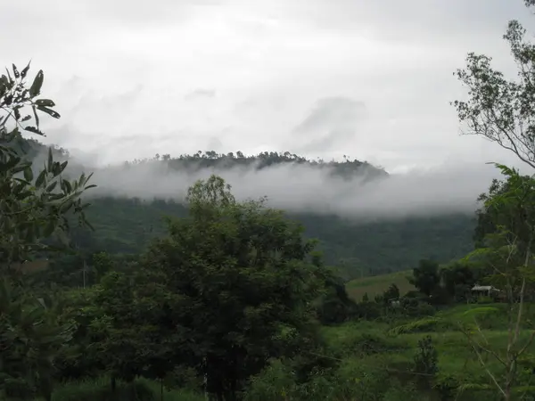 日当たりの良い草原の朝の霧。横になっている雲が低くで森林に覆われた山の斜面. — ストック写真