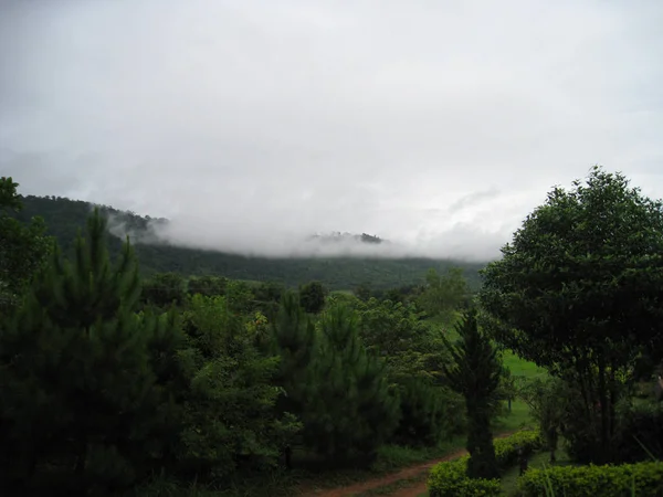 日当たりの良い草原の朝の霧。横になっている雲が低くで森林に覆われた山の斜面. — ストック写真