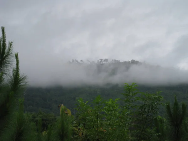 日当たりの良い草原の朝の霧。横になっている雲が低くで森林に覆われた山の斜面. — ストック写真