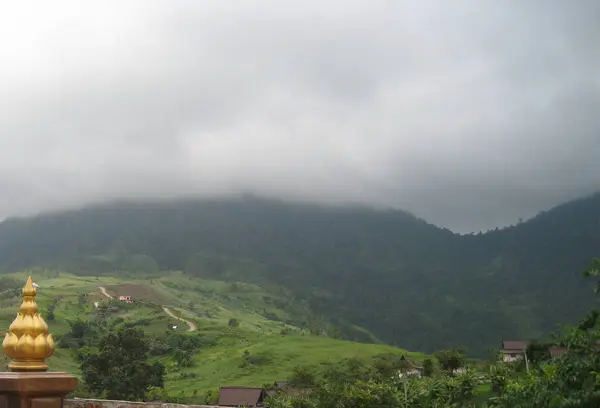 Porannej mgle słonecznej łące. Zboczu góry zalesione w niskie chmury leżący. — Zdjęcie stockowe