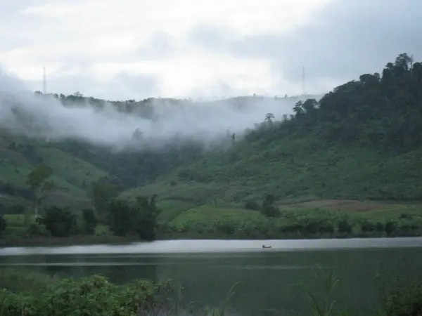 Niebla matutina en un prado soleado. Pendiente boscosa de montaña en una nube baja . — Foto de Stock