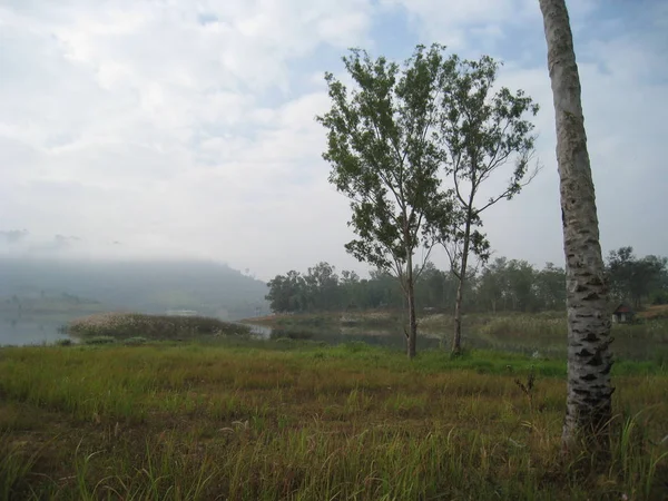 早晨雾在阳光明媚的草地上。低洼云中的森林山坡. — 图库照片