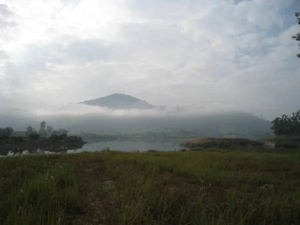 Niebla matutina en un prado soleado. Pendiente boscosa de montaña en una nube baja . — Foto de Stock