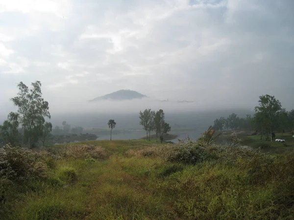 Niebla matutina en un prado soleado. Pendiente boscosa de montaña en una nube baja . — Foto de Stock