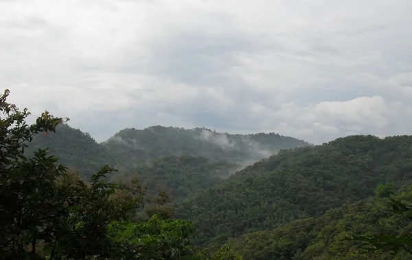 早晨雾在阳光明媚的草地上。低洼云中的森林山坡. — 图库照片