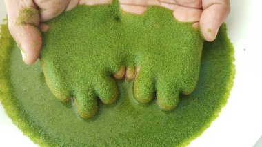 Yandan Wolffia globosa. Wolffia globosa veya tatlı su Alga, su yemek, bataklık yosun Tayland yerel besindir.
