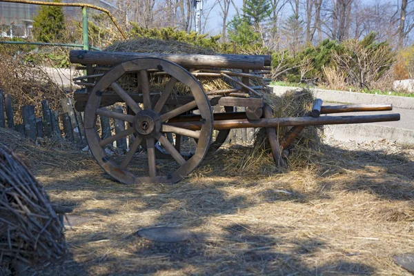 Beautiful wooden cart in the Park — Stock Photo, Image