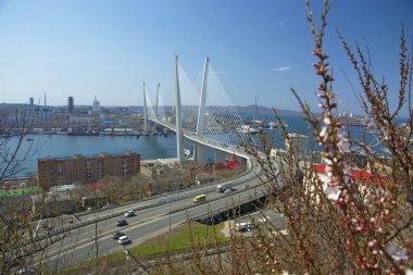 Deniz şehir yüksek köprüden Bay, güneşli havalarda ve güzel Vladivostok