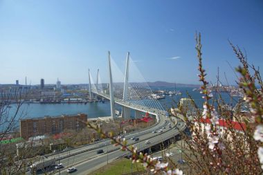 Deniz şehir yüksek köprüden Bay, güneşli havalarda ve güzel Vladivostok