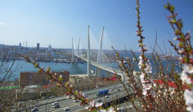 Deniz şehir yüksek köprüden Bay, güneşli havalarda ve güzel Vladivostok