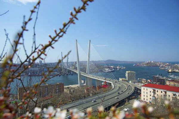 Marine City puente alto sobre la bahía, el clima soleado y hermoso Vladivostok — Foto de Stock