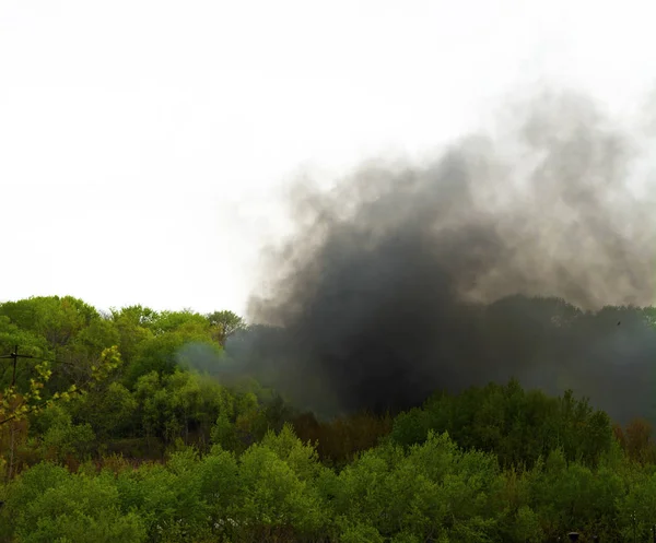 Fumo denso dal fuoco pubblicato sopra la foresta, foresta in fiamme — Foto Stock