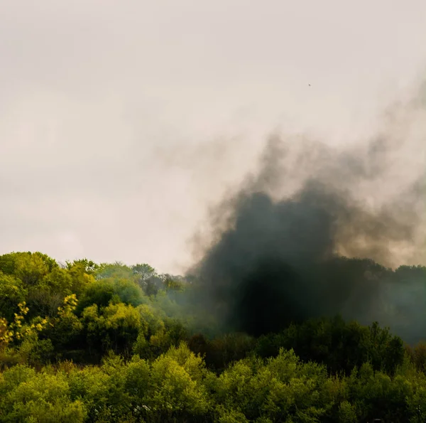 Espeso humo del fuego colocado sobre el bosque, bosque en llamas —  Fotos de Stock