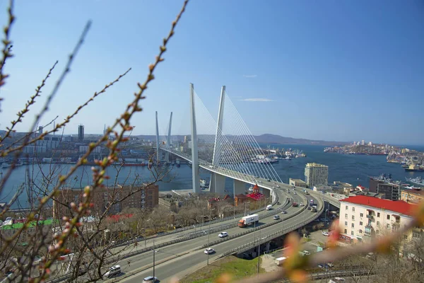 Most po drugiej stronie zatoki, w portowym mieście. słoneczny dzień i kwitnące zieleni — Zdjęcie stockowe